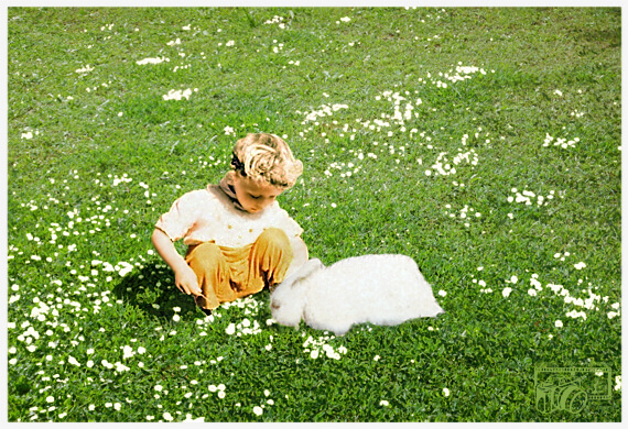 Photo of girl and rabbit with colors restored.